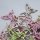 Streuteile Frühling Streudeko Holz Tischdeko Schmetterlinge rosa  grün natur 70x